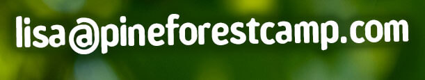 lisa@pineforestcamp.com